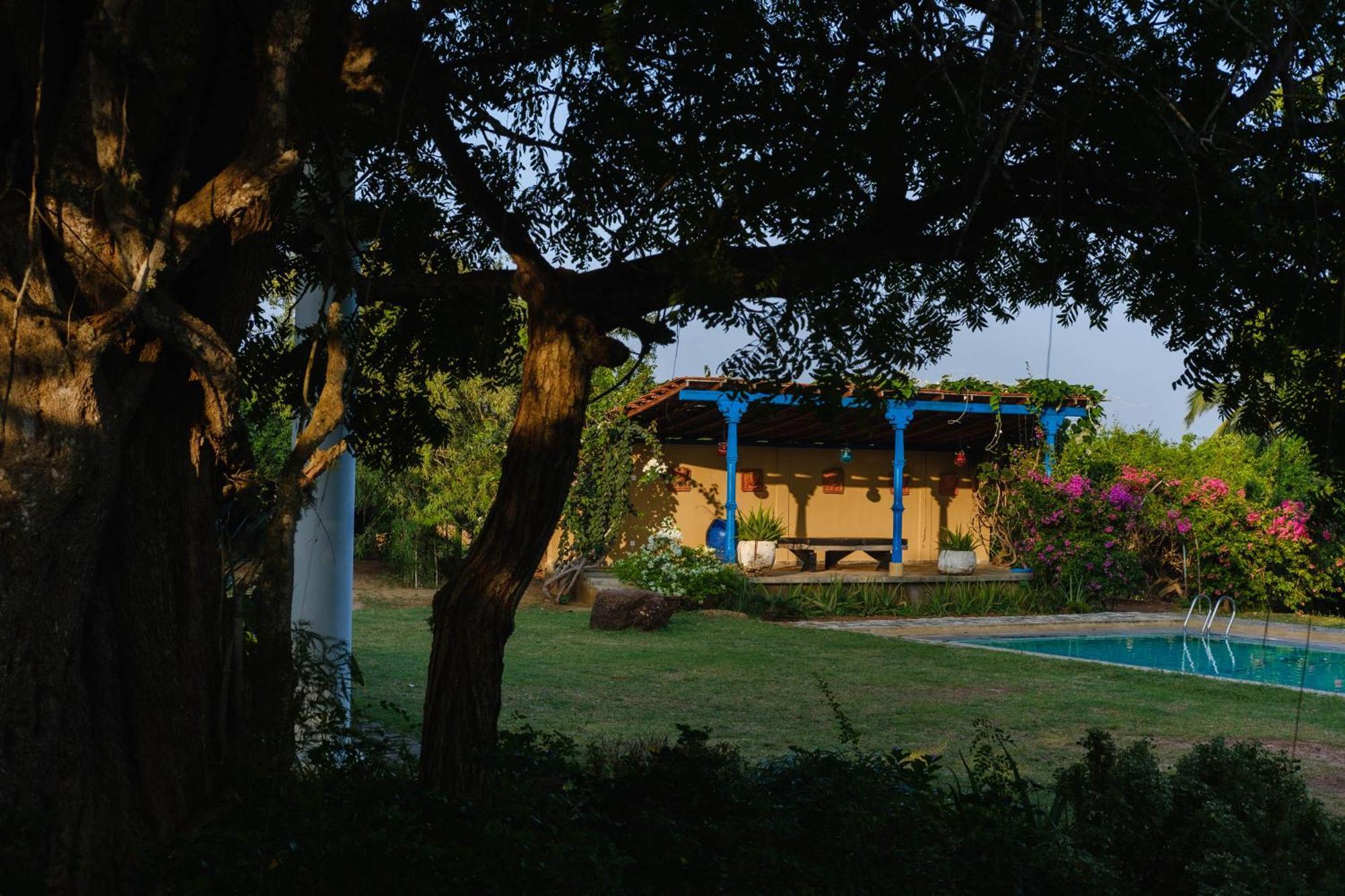 Treasure Rock Bed & Breakfast Kirinda  Ngoại thất bức ảnh