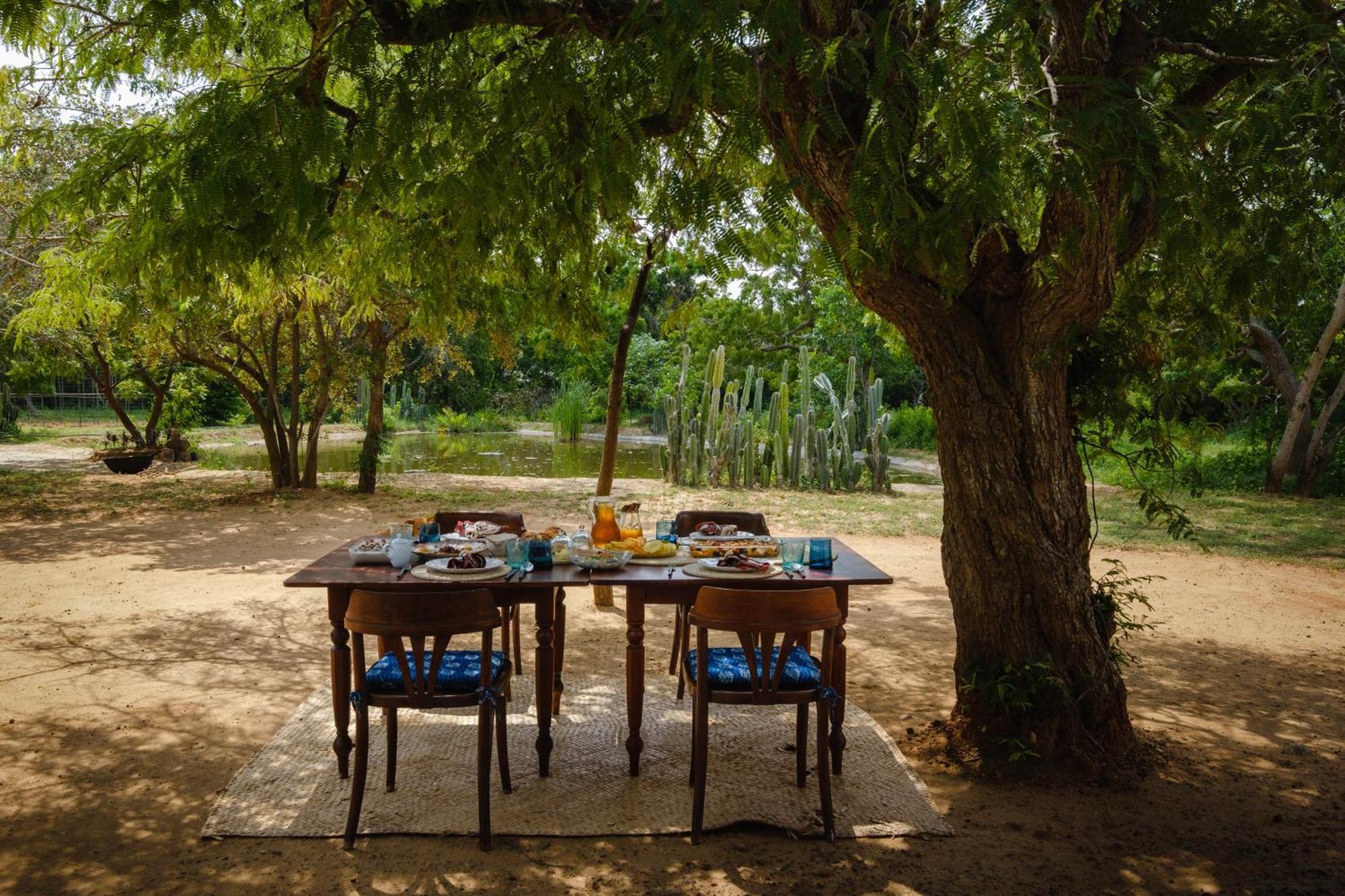 Treasure Rock Bed & Breakfast Kirinda  Ngoại thất bức ảnh