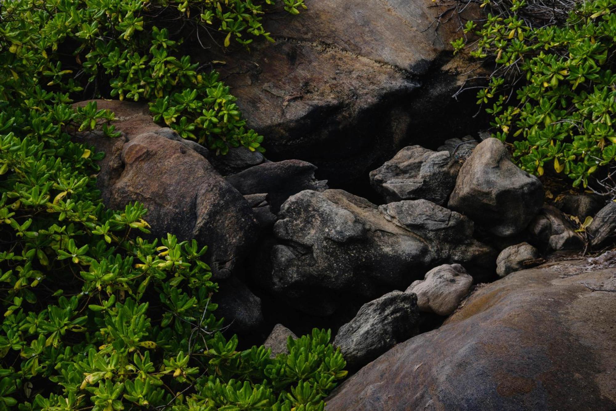 Treasure Rock Bed & Breakfast Kirinda  Ngoại thất bức ảnh