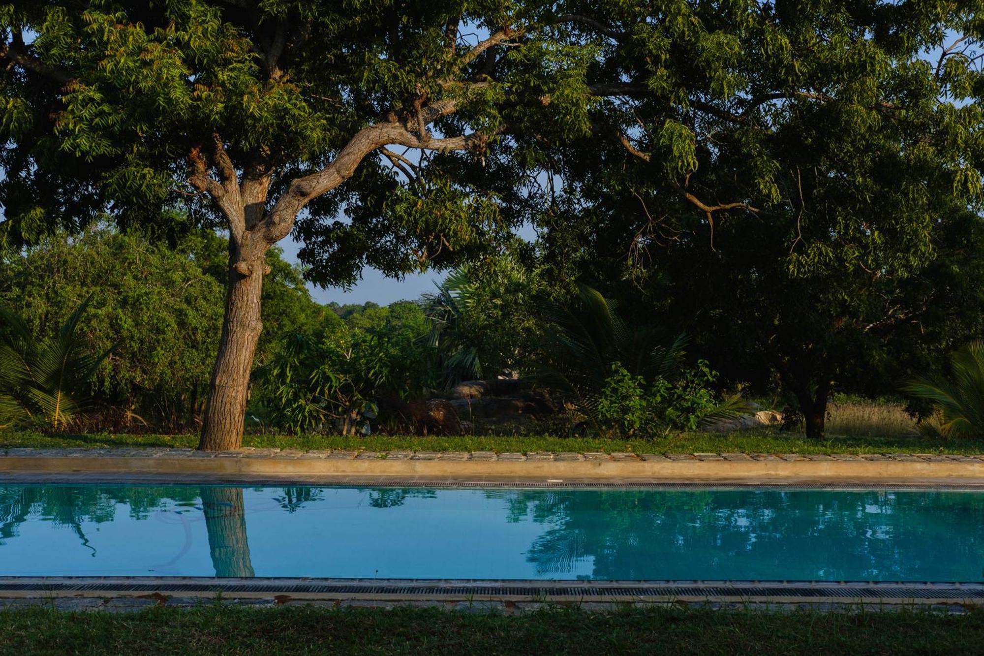 Treasure Rock Bed & Breakfast Kirinda  Ngoại thất bức ảnh
