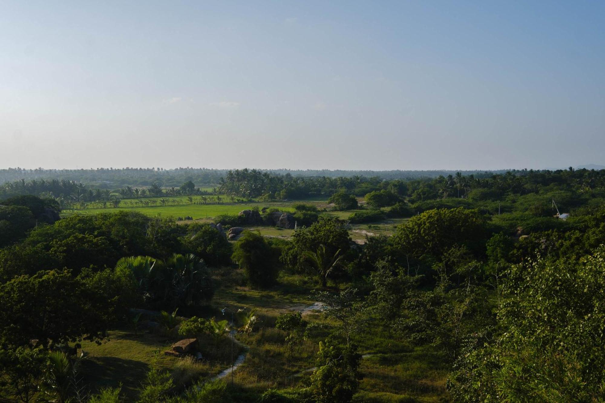 Treasure Rock Bed & Breakfast Kirinda  Ngoại thất bức ảnh