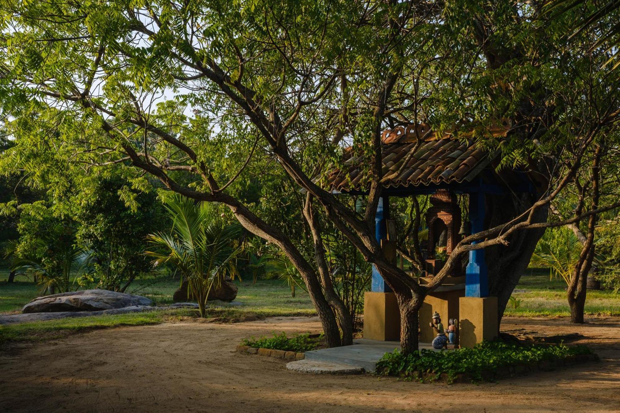 Treasure Rock Bed & Breakfast Kirinda  Ngoại thất bức ảnh